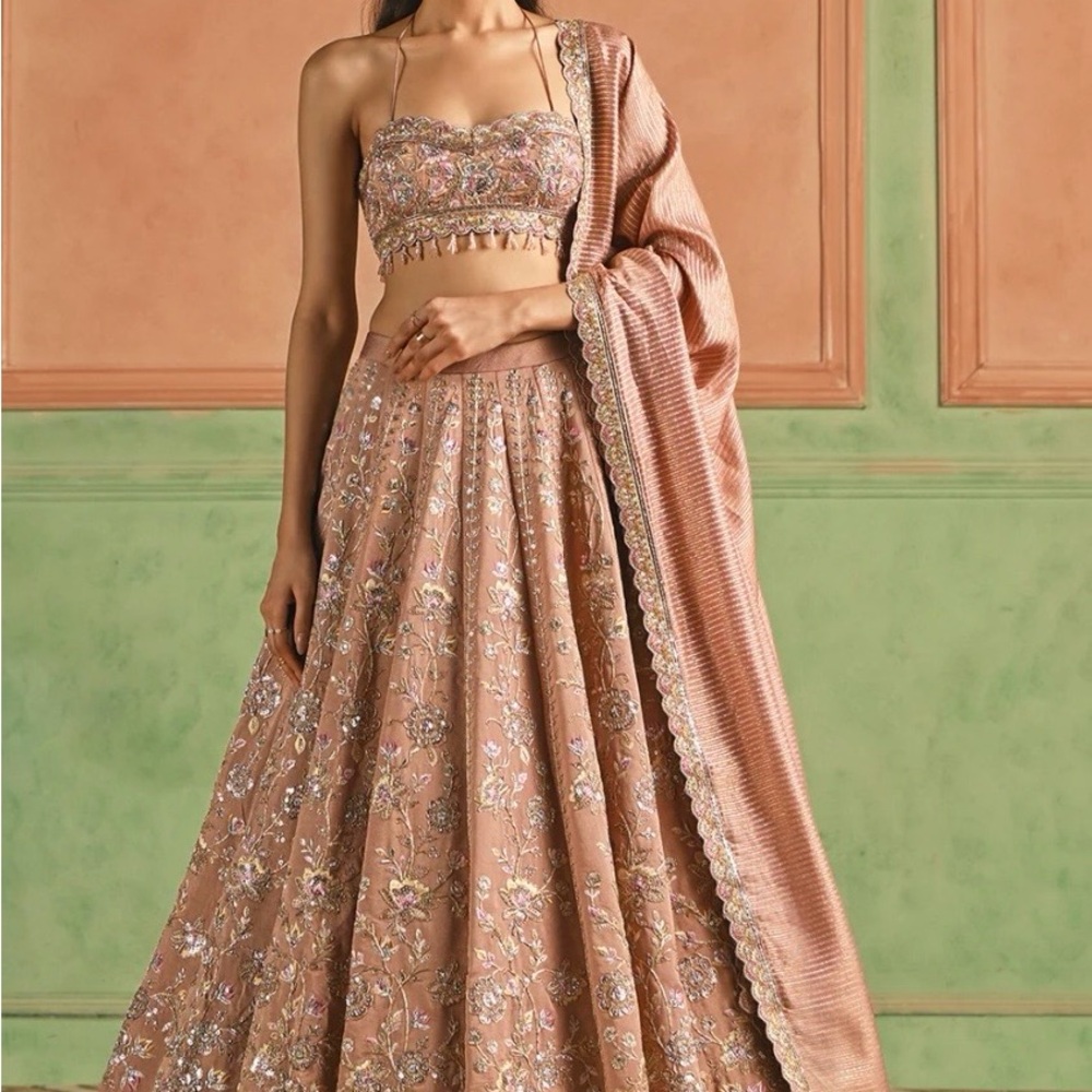 Strapless Embroidered Lehenga in Rose Gold - Women Dresses Strapless - Picture 4 of 4
